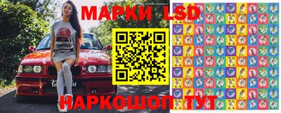 стафф Новозыбков