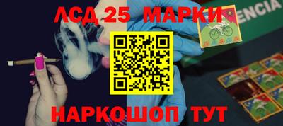 стафф Новозыбков