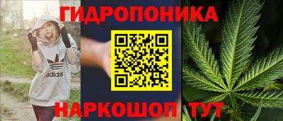 мяу мяу мука Нальчик