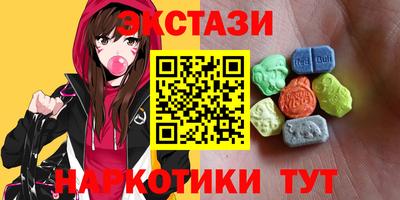 СК Новодвинск