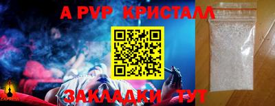 СК Новодвинск