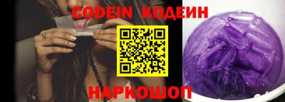 СК Новодвинск