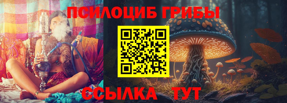 Трёхгорный  Галлюциногенные грибы Psilocybe  Вход с VPN 